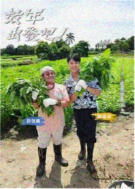 免费看片 极限挑战